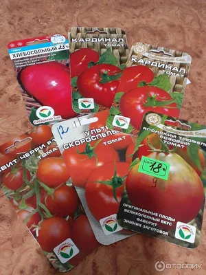 Семена томата Батяня Сибирский Сад - «Крупные, сладкие, ранние помидоры для  Сибири.» | отзывы