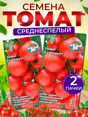Томат «Спрут» в теплице: общая характеристика, достоинства сорта и вкусовые  качества плодов, правила п… | Выращивание помидоров, Огородничество,  Выращивание томатов