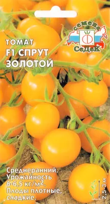 Томат «Спрут Сливка” F1 в теплице - YouTube