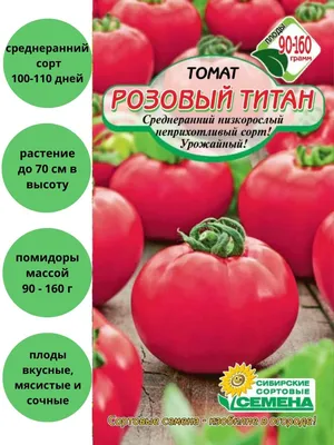 Томат Титан: характеристика сорта, описание особенностей, фото и отзывы