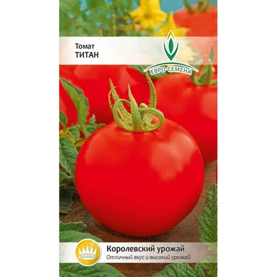 ✓ Семена Томат Титан, 5г, Гавриш, Фермерское подворье по цене 62,40 руб. ◈  Большой выбор ◈ Купить по всей России ✓ Интернет-магазин Гавриш ☎  8-495-902-77-18