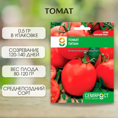 Томат Титан, 01г., БП, Евро-Семена купить в по цене 8 ₽ рублей