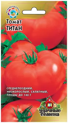 Томат Титан розовый