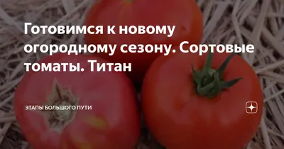 Титан помидор который уничтожает …» — создано в Шедевруме