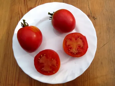 Томат Розмарин Фунтовый один из самых вкусных крупных розовоплодных -  YouTube