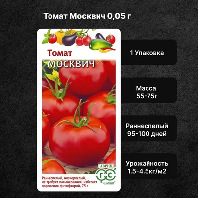 Помидоры топтыжка фото фотографии