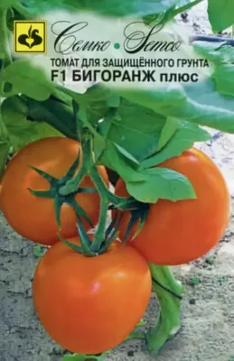 Помидоры на огороде (76 фото) »