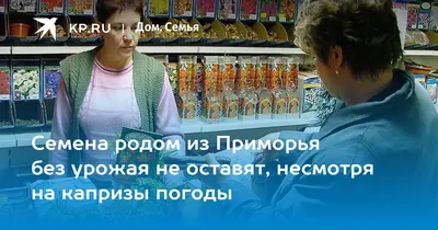 Семена родом из Приморья без урожая не оставят, несмотря на капризы погоды  - KP.RU