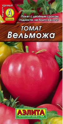 Сибирские шаньги\" и \"Вельможа\". Розовые томаты великолепного вкуса. |  Оксана Бухгалтерский огород | Дзен