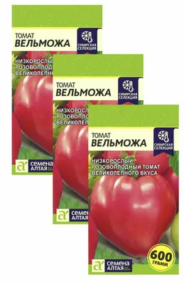 BERTA_ZAUER on Instagram: \"Томат Вельможа @semena.altaya ✓Томат Вельможа  очень плотные, мясистые, в них практически нет свободной жидкости, как это  обычно бывает у других сортов томатов. ✓Во внутренней части может  сформироваться от пяти
