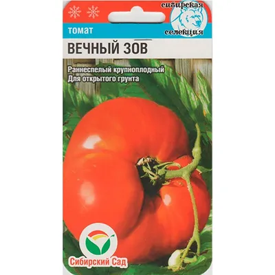 Семена томатов часть 3 в дар (Москва). Дарудар