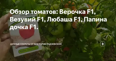 Семена Томатов Верочка низкорослые АГРОФИРМА ПАРТНЕР 19110858 купить за 323  ₽ в интернет-магазине Wildberries