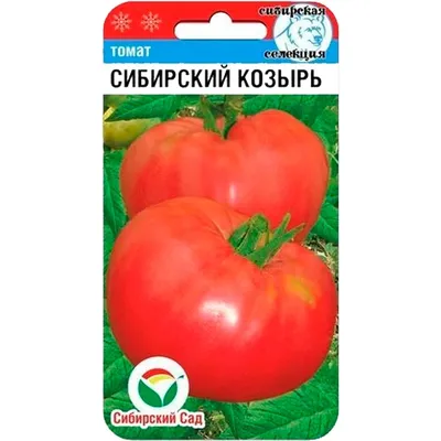СЕМЕНА ПАРТНЕР ТОМАТ ВЕРОЧКА F1 (0,1Г) 2-НОЙ ПАК купить по цене 150 ₽ в  интернет-магазине KazanExpress