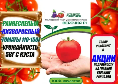 Очень РАННИЙ томат, который созревает одним из ПЕРВЫХ в начале лета! |  Зеленый Огород | Дзен