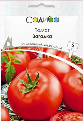 Семена томата Загадка, 0,5кг: купить оптом, цена 820,80 ₴/упаковка - 7 Соток