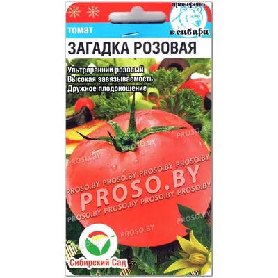 Купить Томат Загадка 0,1 г, семена Яскрава в Хмельницком от компании  \"Садовый центр ЭДИС\" - 266479141