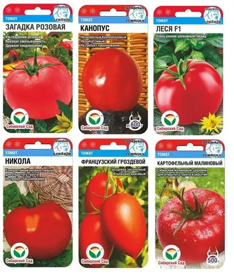 Семена Томат \"Загадка\" купить по цене 78 ₽ в интернет-магазине KazanExpress