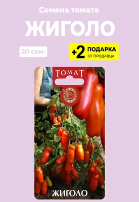 Томат Жигало: описание, отзывы, фото кто сажал