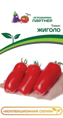 Томат ЖИГОЛО (0,05г) Партнер - Нетипичный фермер