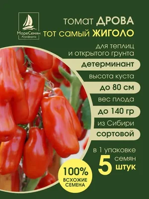 Томат \"Жиголо\", 20 штук, Биотехника купить по цене 186.89 ₽ в  интернет-магазине KazanExpress