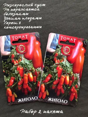 Томат Жиголо: описание сорта, ОТЗЫВЫ (15), фото