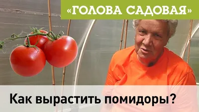 Чтобы получить хороший урожай, всегда надо быть начеку