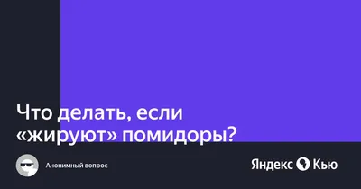 Томаты: выращивание и борьба с фитофторой