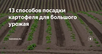 Купить (Никита) Плантатор для выращивания картофеля, полиэтиленовый  контейнер, сумка, горшок для выращивания корневых растений, боковое окно |  Joom