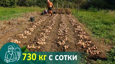 Купить Картофель посадки 3/5/7/10 галлонов выращивает сумки водостойкий PE  сад овощной плантатор | Joom