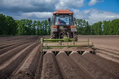 Увеличение продуктивности картофеля на 14,2% - Biocraft
