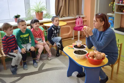 Посадка лука