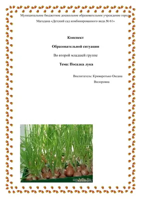 Мы лучок сажали… Первое растение в огороде на подоконнике | Детский сад №45