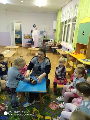 Посадка лука