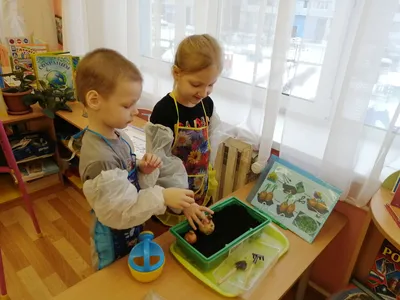 Конспект занятия «Посадка лука». Трудовая деятельность в уголке природы (5  фото). Воспитателям детских садов, школьным учителям и педагогам - Маам.ру