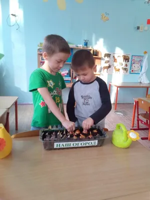 Огород на подоконнике «Посадка лука» | Частный детский сад \"Мери Поппинс\"