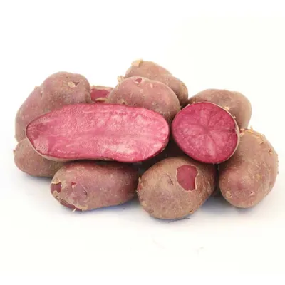 Выращивание картофеля из семян