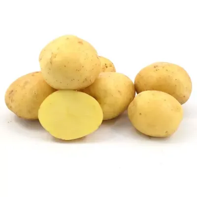 Эксперты назвали самые вкусные сорта картофеля - Новини АПК | Головні  фермерські новини України