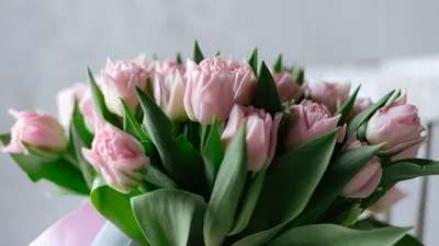 https://modistas.store/ru/relax/svyata/8-bereznya/shhyri-pryvitannya-z-8-bereznya-matusi-u-prozi-virshah-krasyvi-kartynky-ta-lystivky-ukrayinskoyu-movoyu.html
