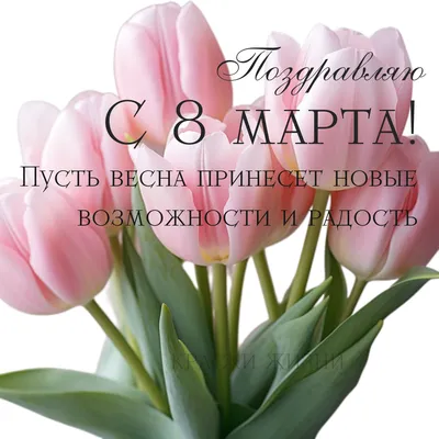 Картинка 8 марта Розы Красный Лепестки Цветы Праздники 1920x1200