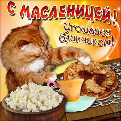 Сясьстрой I Greenway I Гринвей - С Масленицей поздравляю! Пышных блинчиков  желаю. И с икоркой, и с грибами, Чтоб их есть всегда с друзьями. Пусть  всеобщее веселье Вам поднимет настроенье. Сполна счастьем