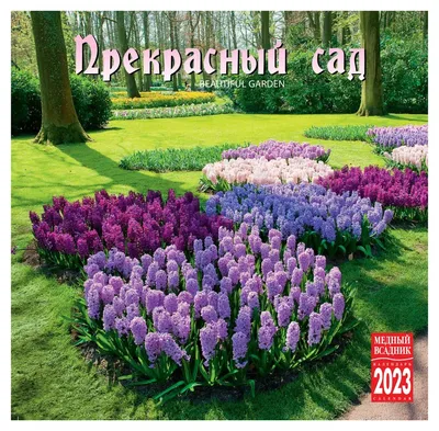 Журнал «Мой прекрасный сад» №4/2009 Специальный выпуск | Проекты для сада,  Сад, Садоводство