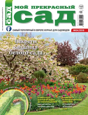 Книга Прекрасный Сад За 20 Дней, Экспресс-Курс - купить дома и досуга в  интернет-магазинах, цены на Мегамаркет | 174006