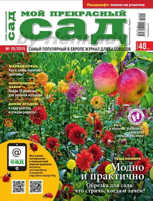 Мой прекрасный сад №08/2018 – скачать pdf на ЛитРес