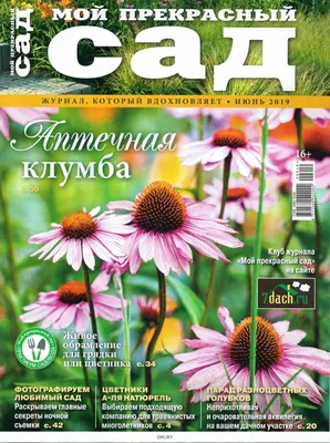Садовый центр «Прекрасный сад» в Ярославской области