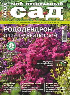 Мой прекрасный сад | 0 | mimoza12 | Flickr