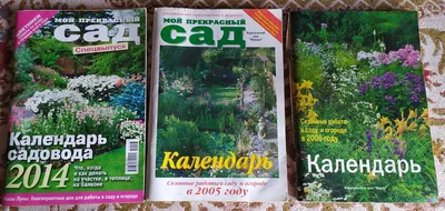 Прекрасный сад 2020, , Издательская Контэнт группа купить книгу  978-5-00141-134-5 – Лавка Бабуин, Киев, Украина