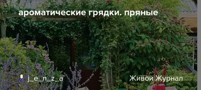 Шикарные грядки: что посадить в огороде для красоты - Рамблер/женский