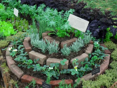 Такой пряный огород должен быть у каждого 🌱 Пряные травы в высоких грядках  - YouTube