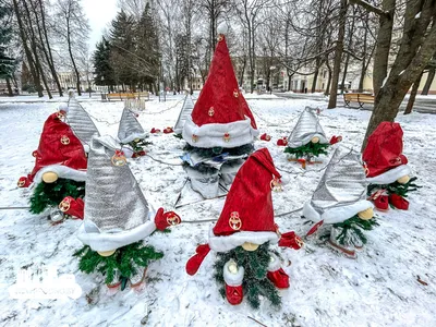 Самые необычные елки Ивановской области: от леденцовой до каштановой