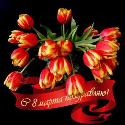 Картинки \"Марта, я тебя люблю!\" (71 фото)
